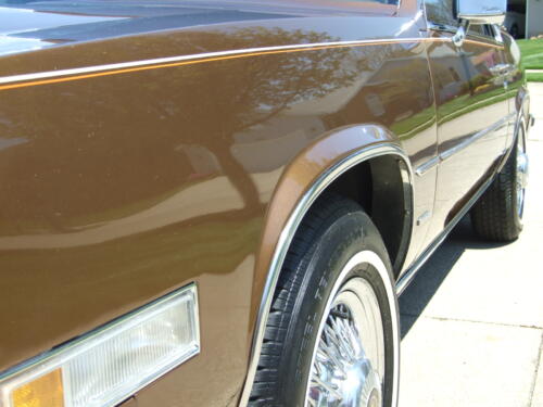 1981 Cadillac Eldorado 014